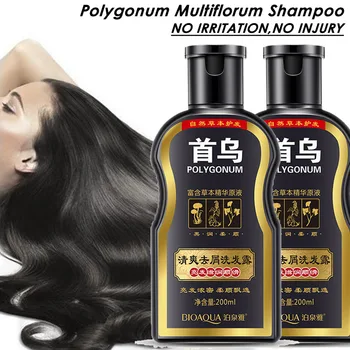 Polygonum Multiflorum Anti-dandruff Shampoo Anti-Dandruff Anti Hair Loss Moisturizing Refreshing Oil Control Black Hair Care
Polygonum Multiflorum Anti-dandruff Shampoo Anti-Dandruff Anti Hair Loss Moisturizing Refreshing Oil Control Black Hair Care