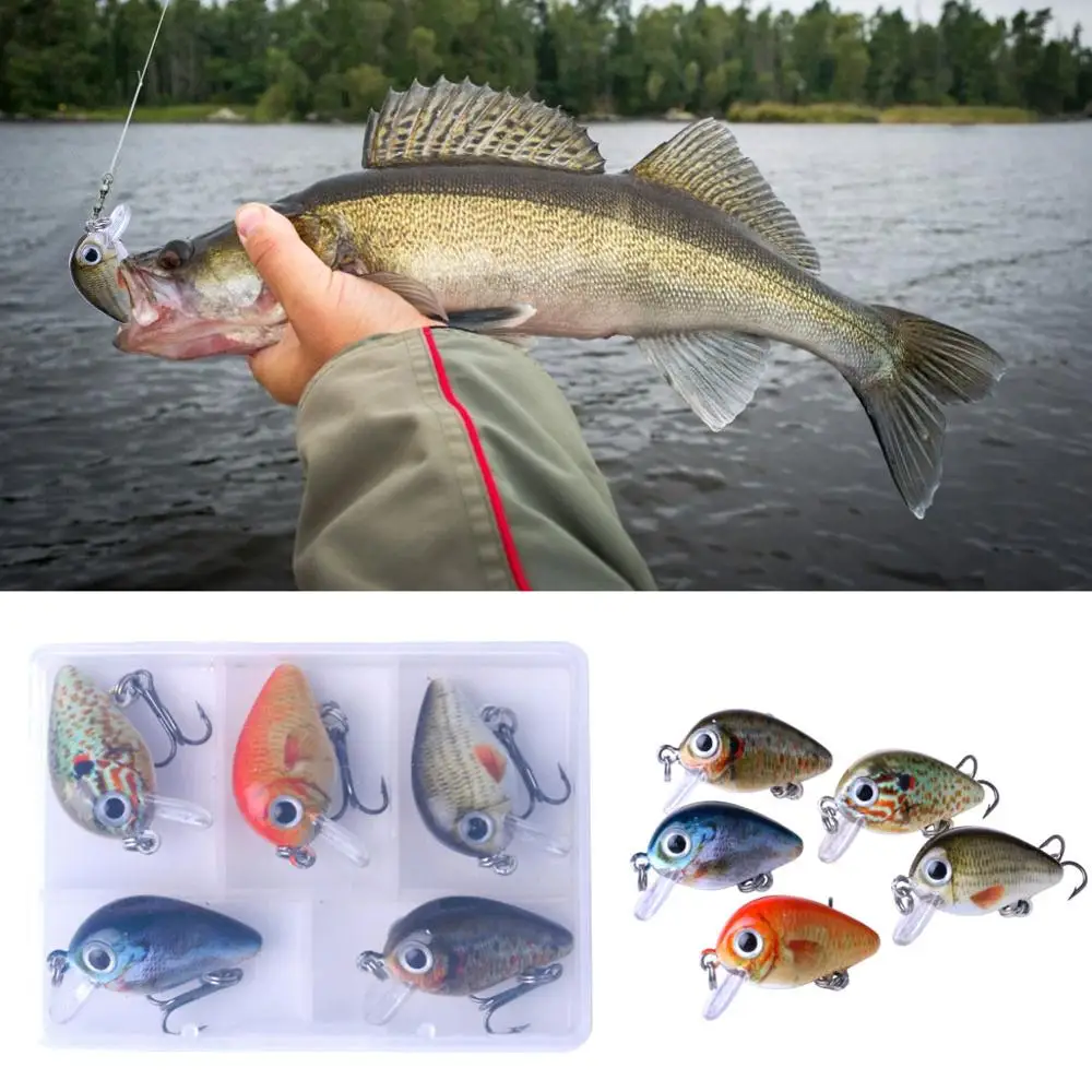 Fishing Bionic Bait Box Set Rock Bait Box Mini Fishing Bait Fishing Tackle Box Fishing Lures Artificial Bait with Boxed
Fishing Bionic Bait Box Set Rock Bait Box Mini Fishing Bait Fishing Tackle Box Fishing Lures Artificial Bait with Boxed