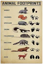 Retro Style Metal Sign Personalized Signs for Office Animal Footprints Knowledge Tin Sign Wall Art Retro Tin Sign Metal Poster
Retro Style Metal Sign Personalized Signs for Office Animal Footprints Knowledge Tin Sign Wall Art Retro Tin Sign Metal Poster