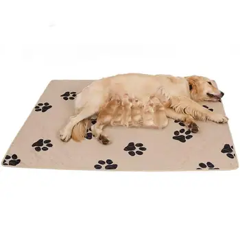 Reusable Diapers for Dog Urine Pet Dogs Absorbent Mat Puppy Training Pad for Small Dog Oversize Waterproof Diaper Sleeping Bed
Reusable Diapers for Dog Urine Pet Dogs Absorbent Mat Puppy Training Pad for Small Dog Oversize Waterproof Diaper Sleeping Bed