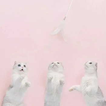 Furrytail Cat Toys Feather With Small Bell Teaser Feather Toys Kitten Rod Cat Wand Toys Pet Interactive Toys Pet Supplies
Furrytail Cat Toys Feather With Small Bell Teaser Feather Toys Kitten Rod Cat Wand Toys Pet Interactive Toys Pet Supplies