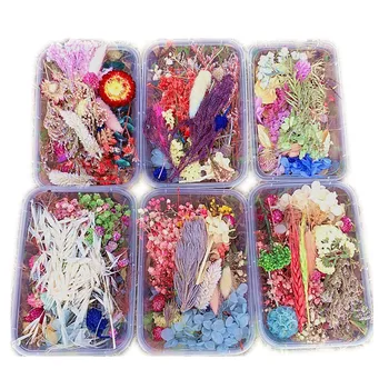 1 boîte vraie fleur séchée plantes sèches pour aromathérapie bougie résine époxy pendentif collier fabrication de bijoux artisan
1 boîte vraie fleur séchée plantes sèches pour aromathérapie bougie résine époxy pendentif collier fabrication de bijoux artisan