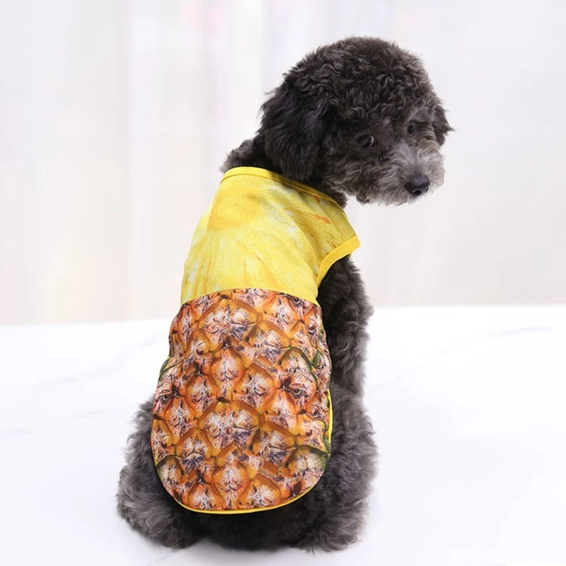 dog clothes.jpg