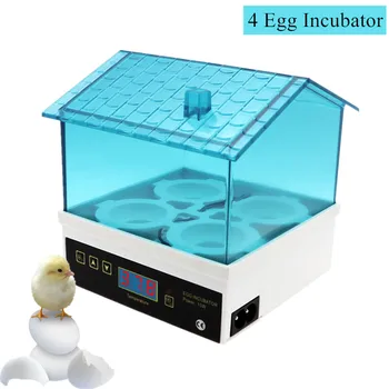Mini Inteligent HHD 4 Egg Incubator Hatchery Machine Brooder Digital Poultry Brooder for Chicken Duck Bird Pigeon Quail Egg
Mini Inteligent HHD 4 Egg Incubator Hatchery Machine Brooder Digital Poultry Brooder for Chicken Duck Bird Pigeon Quail Egg