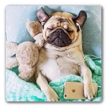 Sleepy Dog Diamant Painting Puppy Listening Music Cross Stitch DIY Diamond Embroidery Bulldog Canvas Mosaic Painting Full Drill
Sleepy Dog Diamant Painting Puppy Listening Music Cross Stitch DIY Diamond Embroidery Bulldog Canvas Mosaic Painting Full Drill