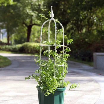 Surface corrugated craft U-shaped European-style rattan climbing frame with buckle plant climbing frame plastic-coated steel tub
Surface corrugated craft U-shaped European-style rattan climbing frame with buckle plant climbing frame plastic-coated steel tub