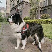 Szelki Dla Psa-arnés personalizado para perro, sin tirones, reflectante, transpirable, ajustable, para correa de chaleco, con parche personalizado