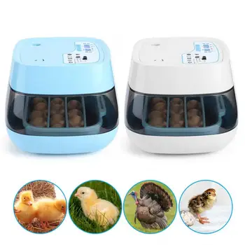 Automatic Digital 16 Eggs Incubator Hatcher Large Capacity Practical Incubators For Chicken Poultry Quail Eggs Home Use
Automatic Digital 16 Eggs Incubator Hatcher Large Capacity Practical Incubators For Chicken Poultry Quail Eggs Home Use