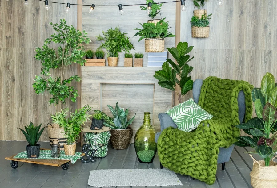 Laeacco Interior Scenic Green Plants Window Balcony Chaise longue Sofa Seat Photo Backdrops Photography Background Photo Studio
Laeacco Interior Scenic Green Plants Window Balcony Chaise longue Sofa Seat Photo Backdrops Photography Background Photo Studio