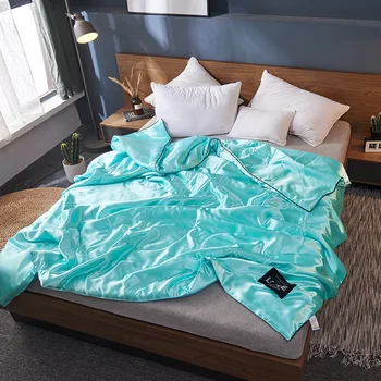 Comfortable 100% Silk Home Comforter Blanket Quilt Duvet Washable Ice Silk Summer Air Conditioning Comforter Quilt Blanket 
Comfortable 100% Silk Home Comforter Blanket Quilt Duvet Washable Ice Silk Summer Air Conditioning Comforter Quilt Blanket