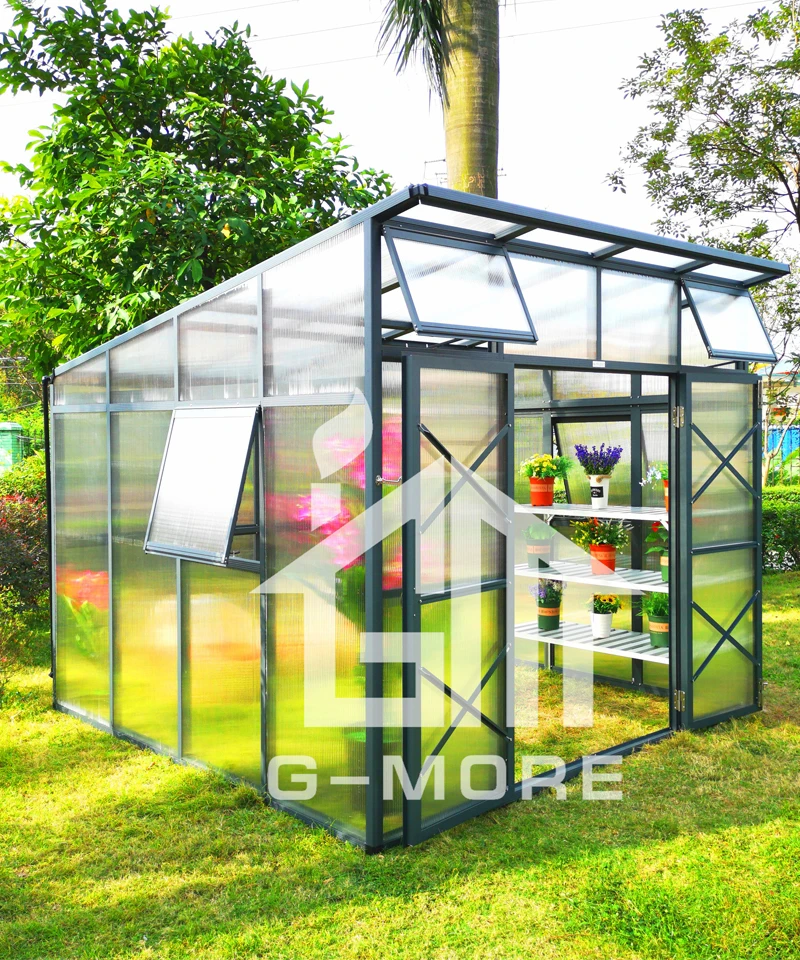 Super strong garden slant roof prefabricated greenhouse with 10MM polycarbonate panels greenhouse used for sale
Super strong garden slant roof prefabricated greenhouse with 10MM polycarbonate panels greenhouse used for sale
