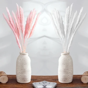 15PCS/Set 50pcs Real Grassland Dried Small Pampas Grass Wedding Flower Bunch Natural Plants Decor Home Decor Dried Flowers
15PCS/Set 50pcs Real Grassland Dried Small Pampas Grass Wedding Flower Bunch Natural Plants Decor Home Decor Dried Flowers