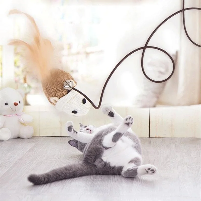 pet cat toy