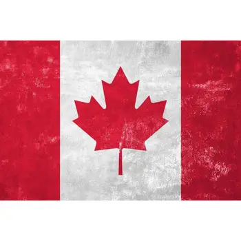 Diamond-Painting Round 5D DIY Cross Stitch Canadian Flag Kits Art Embroidery Hobby Art Kit Gifts 
Diamond-Painting Round 5D DIY Cross Stitch Canadian Flag Kits Art Embroidery Hobby Art Kit Gifts