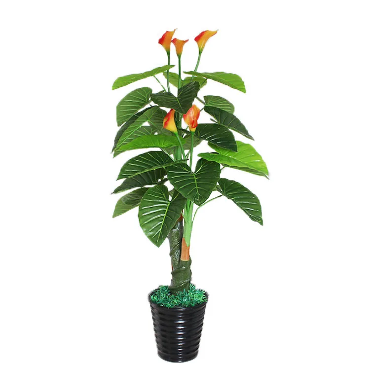 Artificial 170cm calla Lily tree artificial tree potted bonsai plastic artificial plants greenery plant faux plants fake plants
Artificial 170cm calla Lily tree artificial tree potted bonsai plastic artificial plants greenery plant faux plants fake plants