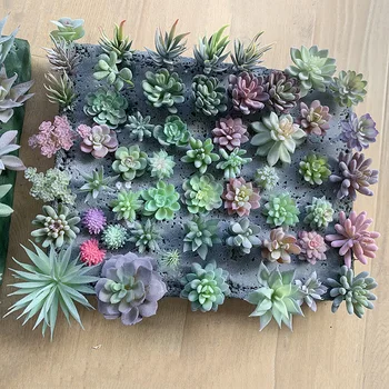 12pcs/set Artificial Succulents Fake Faux Flowers Mini PVC Simulated Floral Plants Craft Home Office Decor
12pcs/set Artificial Succulents Fake Faux Flowers Mini PVC Simulated Floral Plants Craft Home Office Decor