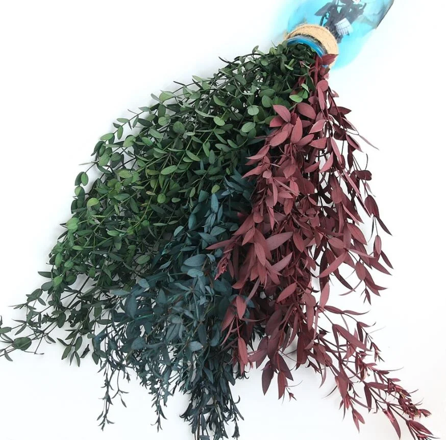 2 Bundles Preserved Flower Eucalyptus Spire Branch For Flower Arrangement Wedding Christmas Party Home Garden Decoration
2 Bundles Preserved Flower Eucalyptus Spire Branch For Flower Arrangement Wedding Christmas Party Home Garden Decoration