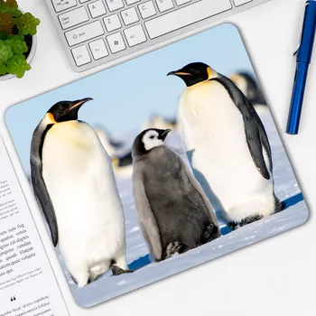 Animal Penguins Patterned Mause Mouse Pad Small Size Pc Tablet Mousepad Gamer Computer Laptop Mice Mat Decorate Your Desk
Animal Penguins Patterned Mause Mouse Pad Small Size Pc Tablet Mousepad Gamer Computer Laptop Mice Mat Decorate Your Desk