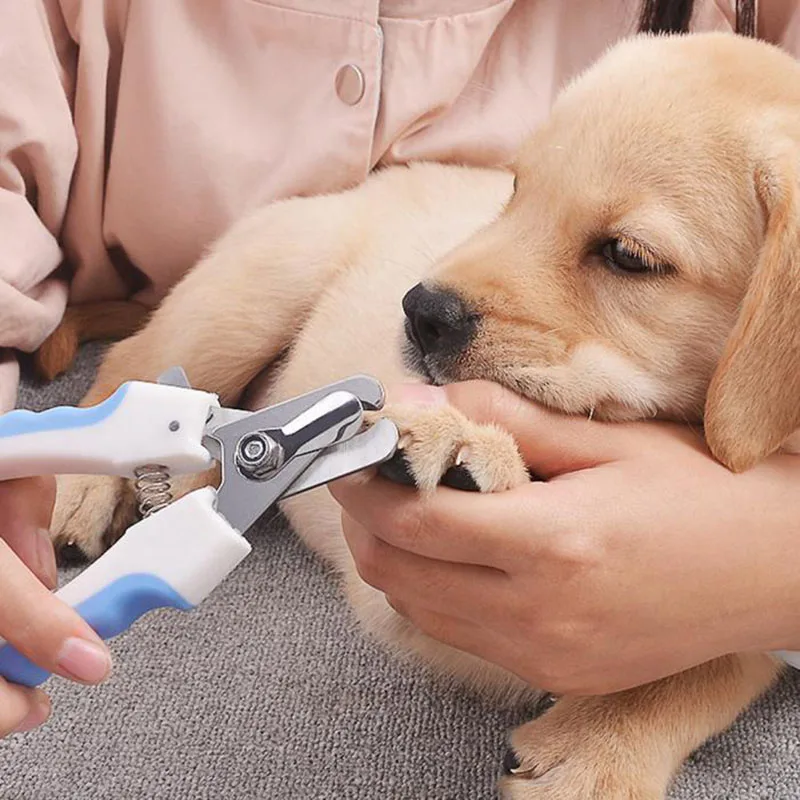 Pet Dog Cat Stainless Steel Claw Nail Clippers Cutter File Scissors Dogs Toe Care Trimmer Nails Pets Grooming Supplies
Pet Dog Cat Stainless Steel Claw Nail Clippers Cutter File Scissors Dogs Toe Care Trimmer Nails Pets Grooming Supplies