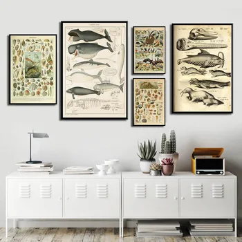 Marine marine life shell fish animal retro illustration Canvas Painting Posters Prints Wall Art Picture Living Room Decor Cuadro
Marine marine life shell fish animal retro illustration Canvas Painting Posters Prints Wall Art Picture Living Room Decor Cuadro