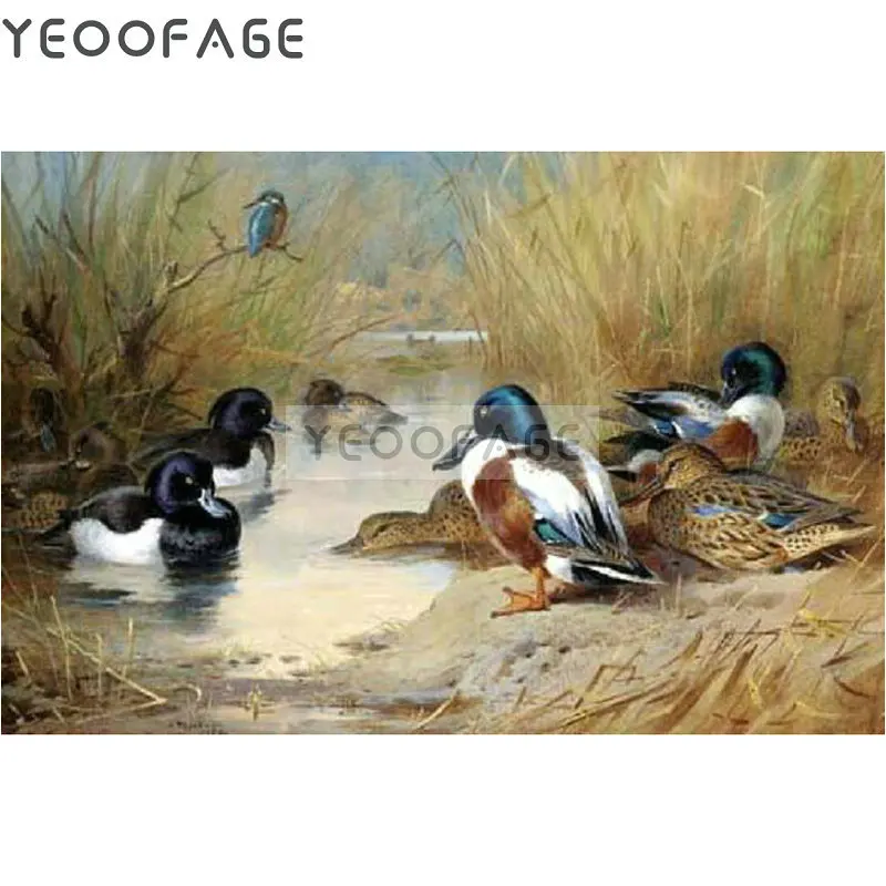 DIY Diamond painting Cross stitch Kit square Diamond embroidery wild duck 5D rhinestone mosaic Needlework Pattern Home Decor
DIY Diamond painting Cross stitch Kit square Diamond embroidery wild duck 5D rhinestone mosaic Needlework Pattern Home Decor