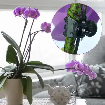 50PCS Plastic Plant Clips Plant Orchid Support Clips Flower Vine Clips For Supporting Stems Vines Grow Upright Garden Supplies
50PCS Plastic Plant Clips Plant Orchid Support Clips Flower Vine Clips For Supporting Stems Vines Grow Upright Garden Supplies