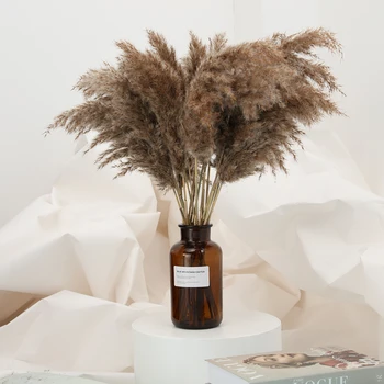 60cm Long Wedding Flowers Pampas Grass Bunch Natural Dried Flower Beautiful Reed Christmas Home Wedding Decoration Phragmites 
60cm Long Wedding Flowers Pampas Grass Bunch Natural Dried Flower Beautiful Reed Christmas Home Wedding Decoration Phragmites