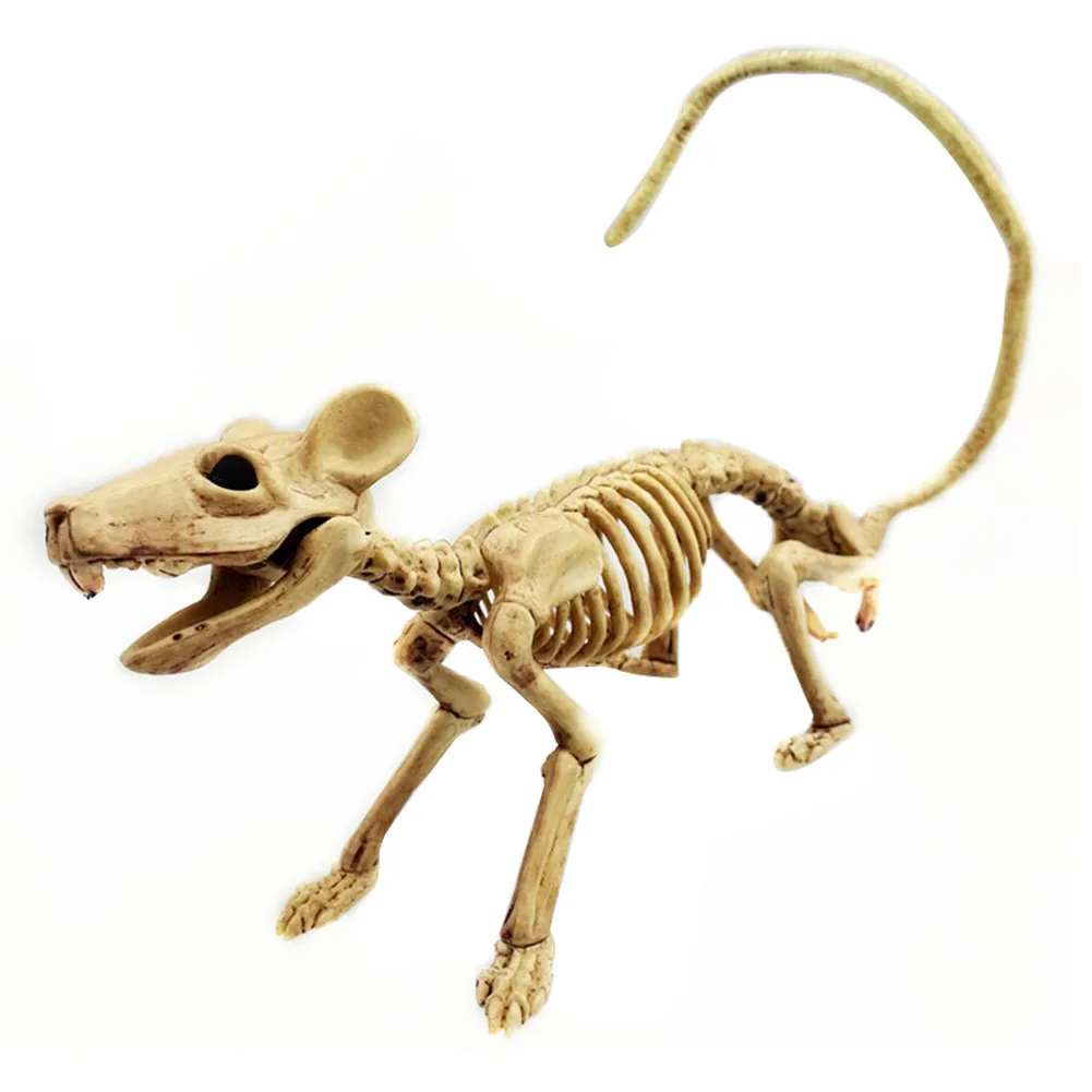 Simulation Supplies House Animal Reusable Halloween Decoration Props Skeleton Bones Bar Lifelike Ornament Multi Function ABS
Simulation Supplies House Animal Reusable Halloween Decoration Props Skeleton Bones Bar Lifelike Ornament Multi Function ABS