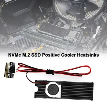 Positive M.2 SSD Cooler Heatsink For PCIe NGFF NVMe SSD Groove Designed Double-sided Radiator Set Thermally Conductive Heat Sink
Positive M.2 SSD Cooler Heatsink For PCIe NGFF NVMe SSD Groove Designed Double-sided Radiator Set Thermally Conductive Heat Sink