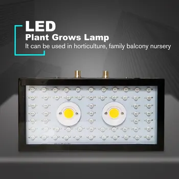 Plants LED Grow Light Full Spectrum 1000W Double Chip Red/Blue/UV/IR Long Strip Light Indoor Plants VEG BLOOM EU/US/UK/AU Plug
Plants LED Grow Light Full Spectrum 1000W Double Chip Red/Blue/UV/IR Long Strip Light Indoor Plants VEG BLOOM EU/US/UK/AU Plug