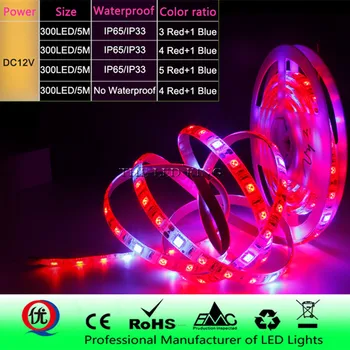 5 M LED Phyto Lamps Full Spectrum LED Strip Light 300 LEDs 5050 Chip LED Fitolampy Grow Lights For Greenhouse Hydroponic plant
5 M LED Phyto Lamps Full Spectrum LED Strip Light 300 LEDs 5050 Chip LED Fitolampy Grow Lights For Greenhouse Hydroponic plant