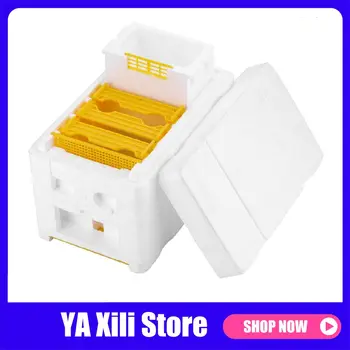 Beekeeping Tools Foam Beehives Bee Tail Boxes Bee Breeding Boxes Pollination Box Sets
Beekeeping Tools Foam Beehives Bee Tail Boxes Bee Breeding Boxes Pollination Box Sets