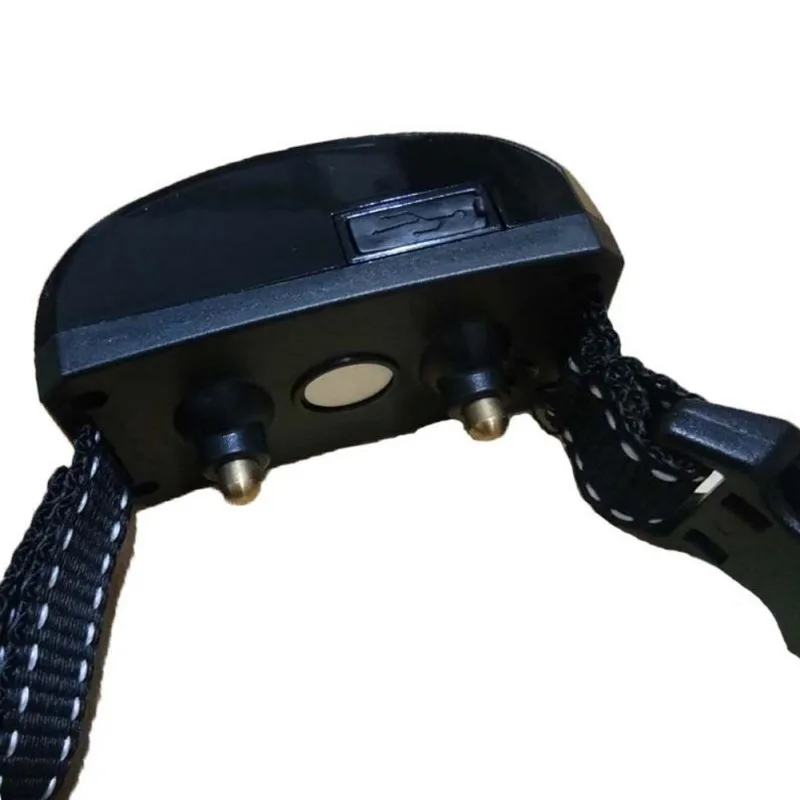 JL1569 (5)