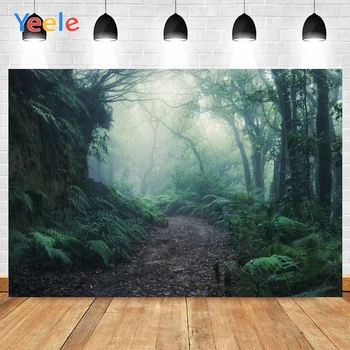 Green Fog Forest Tropical Jungle Nature Scenery Portrait Scene Backdrop Photography Backgrounds For Photo Studio Photophone 
Green Fog Forest Tropical Jungle Nature Scenery Portrait Scene Backdrop Photography Backgrounds For Photo Studio Photophone