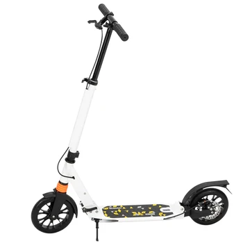 Youth Popular Variable Speed Folding Scooter Bearing 100kg Double Brake Height Adjustable Wear-resistant Sport Entertainment Toy
Youth Popular Variable Speed Folding Scooter Bearing 100kg Double Brake Height Adjustable Wear-resistant Sport Entertainment Toy
