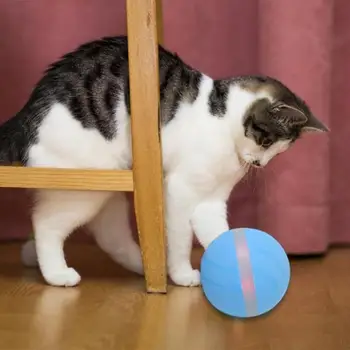 Waterproof Magic Roller Ball Jumping Durable Toy USB Electric Pet LED Flash Teasing Toy for Kitten Puppy Children
Waterproof Magic Roller Ball Jumping Durable Toy USB Electric Pet LED Flash Teasing Toy for Kitten Puppy Children