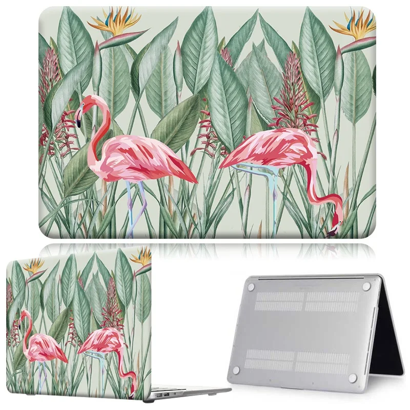 Flamingo014