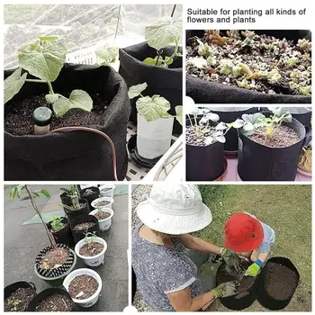 Plant Grow Bag Tomato Planting Bag Plant Bag Planting Belt Practical Creative Black Nonwoven Sweet Potato Balcony Spring
Plant Grow Bag Tomato Planting Bag Plant Bag Planting Belt Practical Creative Black Nonwoven Sweet Potato Balcony Spring