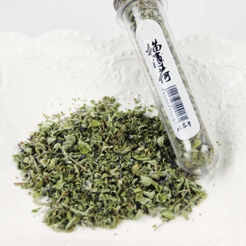 Pet Catnip Clean Teeth Protect The Stomach Toys Edible Catnip Ball Safety Healthy Cat Mint Cats Home Chasing Game Toy Products 
Pet Catnip Clean Teeth Protect The Stomach Toys Edible Catnip Ball Safety Healthy Cat Mint Cats Home Chasing Game Toy Products