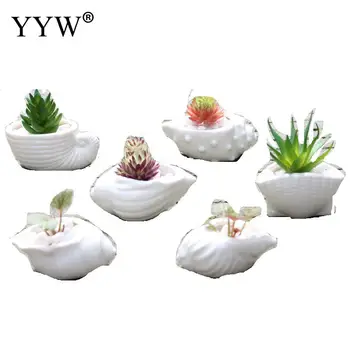 6pcs/Lot Mini Succulent Ceramic Flower Pot Thumb Pot White Shell Conch Marine Succulent Plant Pot For Home Ornaments Decoration
6pcs/Lot Mini Succulent Ceramic Flower Pot Thumb Pot White Shell Conch Marine Succulent Plant Pot For Home Ornaments Decoration