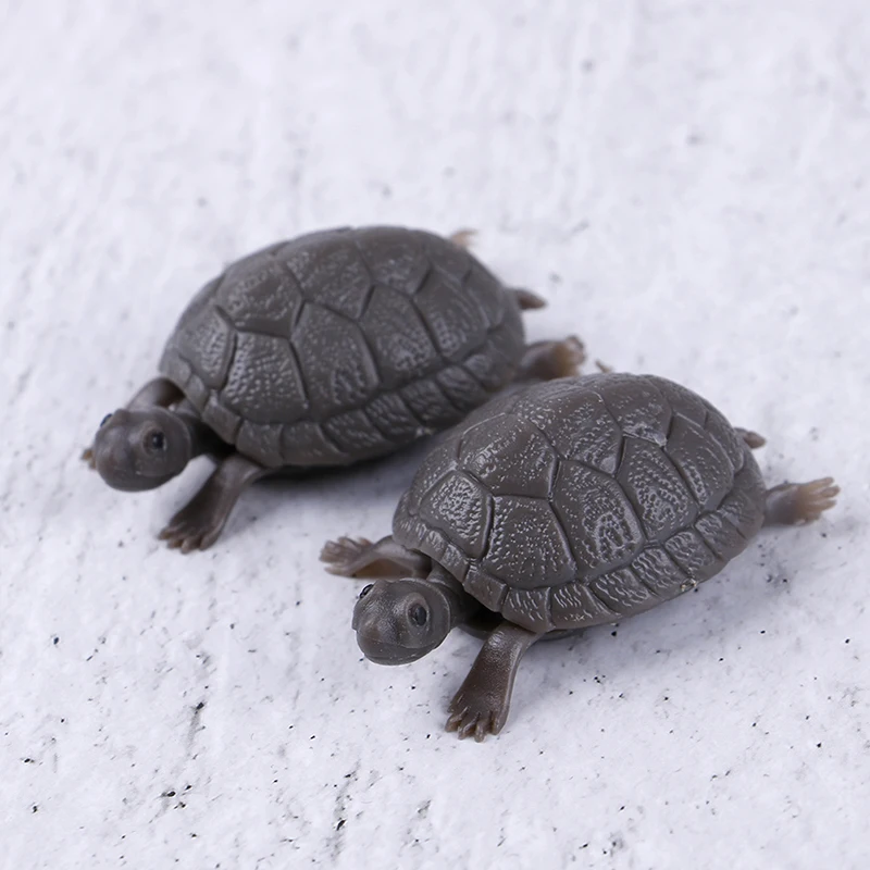 High Simulation Fake Artificial Tortoise Aquarium Emulational Floating Plastic Turtles for Fish Tank Aquatic Decoration
High Simulation Fake Artificial Tortoise Aquarium Emulational Floating Plastic Turtles for Fish Tank Aquatic Decoration