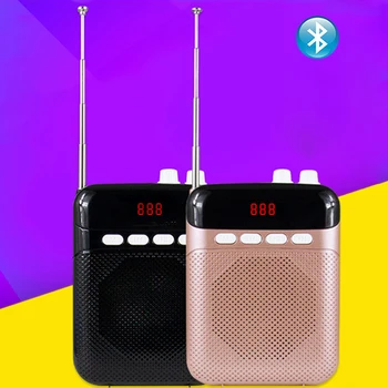 Mini Bluetooth Voice Amplifier Portable Speaker Microphone Loudspeaker Support U Disk TF Card AUX USB Charging For Teaching Sale
Mini Bluetooth Voice Amplifier Portable Speaker Microphone Loudspeaker Support U Disk TF Card AUX USB Charging For Teaching Sale