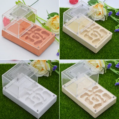 Pet ant nest breeding breeding ant nest imitation ecological ant nest flat plaster ant nest
Pet ant nest breeding breeding ant nest imitation ecological ant nest flat plaster ant nest