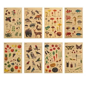 Kraft Stickers Set Animal Plant Fruit Fish Vegetable Plant Insect Mushroom Sample Learning Marker Sticker DIY Decoration F132
Kraft Stickers Set Animal Plant Fruit Fish Vegetable Plant Insect Mushroom Sample Learning Marker Sticker DIY Decoration F132