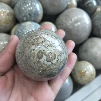 1pc 60-70mm raw Natural crystal ball shell fossil quartz rough stone crystal quartz polished sphere with wooden stand
1pc 60-70mm raw Natural crystal ball shell fossil quartz rough stone crystal quartz polished sphere with wooden stand