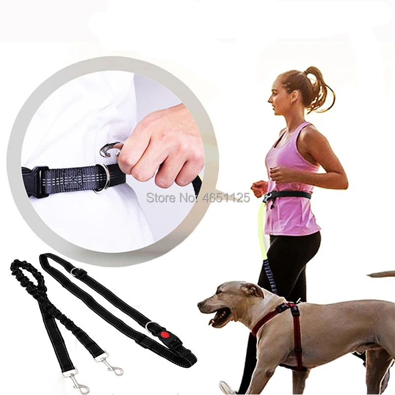 Dog Leashes Rope Comfortable Running Jogging Padded Waist Belt Set Hands Free Retractable Walking Training Leash Pet Leads
Dog Leashes Rope Comfortable Running Jogging Padded Waist Belt Set Hands Free Retractable Walking Training Leash Pet Leads