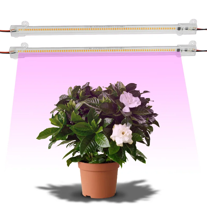 LED Tube Light 220V Energy Saving Clear Shell 30cm 50cm 72LEDs Grow Light LED Rigid Strip LED Fluorescent Indoor Lighting
LED Tube Light 220V Energy Saving Clear Shell 30cm 50cm 72LEDs Grow Light LED Rigid Strip LED Fluorescent Indoor Lighting
