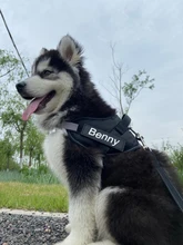 Arnés para perro personalizado sin tirones reflectante transpirable, accesorios de mascota perro para correa de chaleco con parche personalizado