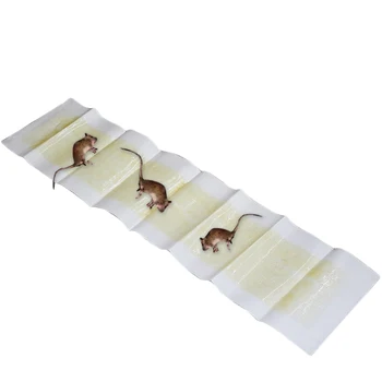 Kitchen Tools Warehouse Glue Board Reject Mice Rodent Mouse Sticky Trap Office Safe Strong Adhesive Pest Control Non Toxic
Kitchen Tools Warehouse Glue Board Reject Mice Rodent Mouse Sticky Trap Office Safe Strong Adhesive Pest Control Non Toxic