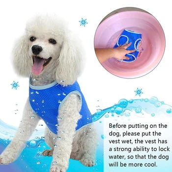 Nosii S/M/L Pet Cooling Vest Summer Cool Cool Cooling Jacket Coat for Dog Puppy Cat Drop Temperature For Dog Puppy Pet Supplies
Nosii S/M/L Pet Cooling Vest Summer Cool Cool Cooling Jacket Coat for Dog Puppy Cat Drop Temperature For Dog Puppy Pet Supplies